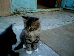     
: DSC03211.JPG
: 28
:	42.4 
ID:	2738606