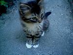     
: DSC03212.JPG
: 24
:	49.7 
ID:	2738607