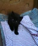     
: DSC03131.JPG
: 28
:	60.1 
ID:	2738609