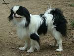    
: DSC00571.jpg
: 11
:	174.1 
ID:	2742811