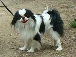     
: DSC00569.jpg
: 13
:	160.8 
ID:	2742812
