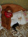    
: P4250063.JPG
: 57
:	58.3 
ID:	2744767