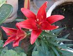     
: IMG_0927.jpg
: 14
:	188.5 
ID:	2746802