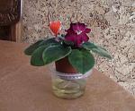     
: Sedona_06.201.JPG
: 37
:	258.4 
ID:	2747279