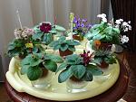     
: DSC00461.JPG
: 53
:	269.5 
ID:	2747320