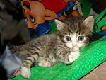     
: DSC00676.jpg
: 26
:	141.5 
ID:	2748721