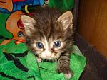     
: DSC00629.jpg
: 21
:	146.6 
ID:	2748747