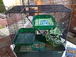     
: 080620115512.jpg
: 31
:	220.2 
ID:	2749026