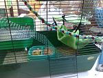     
: 080620115514.jpg
: 32
:	178.6 
ID:	2749028