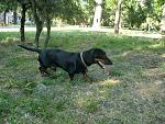     
: CIMG1327.jpg
: 14
:	160.8 
ID:	2750093