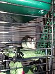     
: 080620115523.jpg
: 30
:	121.2 
ID:	2750789