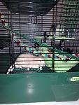     
: 080620115521.jpg
: 27
:	122.8 
ID:	2750791