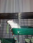     
: 080620115522.jpg
: 26
:	88.5 
ID:	2750792