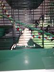     
: 080620115520.jpg
: 27
:	108.0 
ID:	2750799