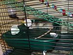     
: 090620115527.jpg
: 26
:	174.6 
ID:	2752768