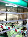     
: 090620115525.jpg
: 23
:	117.1 
ID:	2752772