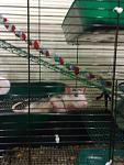     
: 090620115530.jpg
: 24
:	92.8 
ID:	2752775