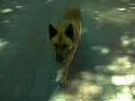    
: Фото0124.jpg
: 124
:	109.3 
ID:	2754707