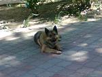     
: Фото0125.jpg
: 135
:	125.3 
ID:	2754708
