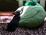     
: P4290070.JPG
: 51
:	110.6 
ID:	2756238
