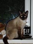     
: P4280065%252520%2525282%252529.JPG
: 39
:	36.9 
ID:	2756248