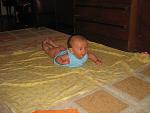     
: IMG_0137.jpg
: 86
:	122.0 
ID:	2757316