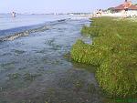     
: DSC00461.jpg
: 120
:	184.6 
ID:	2758181