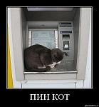     
: x_7e3e8811 (1).jpg
: 149
:	52.1 
ID:	2758885