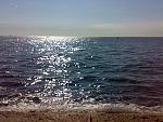     
: 12062011355.jpg
: 45
:	197.1 
ID:	2759857