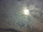     
: 12062011357.jpg
: 41
:	71.1 
ID:	2759858