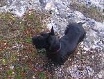     
: w_5453781c.jpg
: 26
:	130.7 
ID:	2760671
