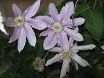     
: IMG_4946.JPG
: 6
:	70.8 
ID:	2761308