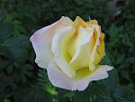     
: IMG_4947.JPG
: 5
:	43.9 
ID:	2761317