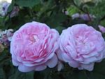     
: IMG_4948.JPG
: 5
:	63.4 
ID:	2761323