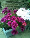     
: Фото026.jpg
: 26
:	116.4 
ID:	2768226