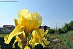     
: 93043817.jpg
: 10
:	140.1 
ID:	2768638