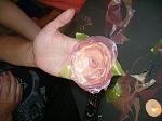     
: y_3b3145b1.jpg
: 118
:	126.7 
ID:	2772852