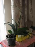     
: IMG_1847.jpg
: 130
:	57.3 
ID:	2773731
