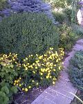     
: Фото062.jpg
: 37
:	162.7 
ID:	2775109