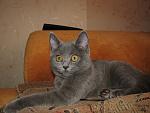     
: IMG_7996.jpg
: 33
:	63.5 
ID:	2777358