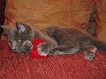     
: IMG_7986.jpg
: 25
:	101.2 
ID:	2777365