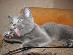     
: IMG_8001.jpg
: 25
:	90.3 
ID:	2777370