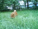     
: DSC00006.jpg
: 172
:	129.4 
ID:	277815