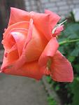     
: IMG_4996.JPG
: 8
:	49.7 
ID:	2780680