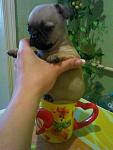     
: (e)SP_A2712.jpg
: 32
:	58.7 
ID:	2781411