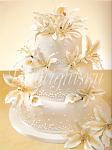     
: tort-liliya.jpg
: 73
:	16.4 
ID:	2784367