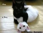     
: 137527_234352.jpg
: 43
:	27.8 
ID:	278566
