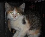     
: SDC13888.JPG
: 30
:	38.4 
ID:	2788600