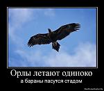     
: 1278089604_861250_orlyi-letayut-odinoko.jpg
: 22
:	51.5 
ID:	2789023