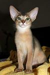     
: blue1 (2).jpg
: 14
:	51.4 
ID:	2792666